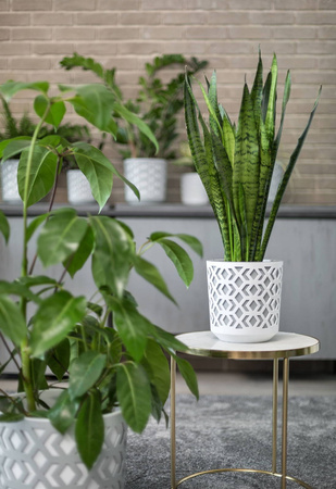 Osłonka Doniczka Ø195 mm Aztek – Czarno-Złota – Lamela