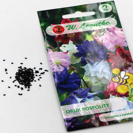Orlik Pospolity – Mix Kolorów – Legutko