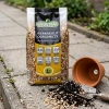 Wermikulit ogrodniczy – dodatek do podłoża – 1-5 mm 1 l Biovita