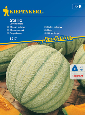 Melon Cukrowy 'Stellio' F1 – Kiepenkerl