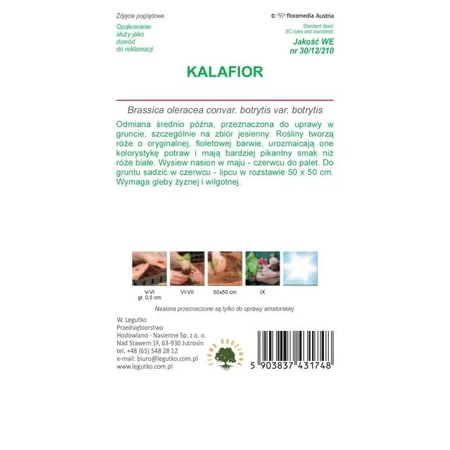 Kalafior ‘Di Sicilia Violetto’ – 1 g Legutko