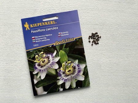 Passiflora Męczennica – Nasiona – Kiepenkerl