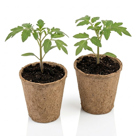 Doniczki z włókna kokosowego okrągłe – średnica 6 cm, wysokość 6 cm x 24 szt. Green Star