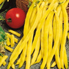 Fasola Tyczna 'Neckargold' – Żółta – Kiepenkerl