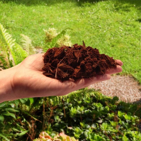 Czipsy kokosowe - naturalne podłoże 5l - Biovita