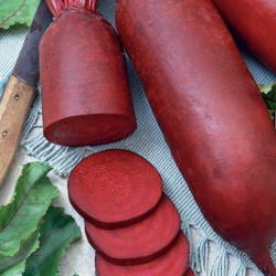 Burak Ćwikłowy 'Taunus' F1 – Kiepenkerl