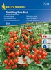 Pomidor 'Tumbling Tom Red' – Cherry – Kiepenkerl