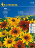 Rudbekia Owłosiona – Mix Nasion – Kiepenkerl