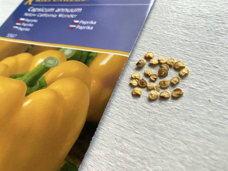 Papryka 'Yellow California Wonder' – Kiepenkerl