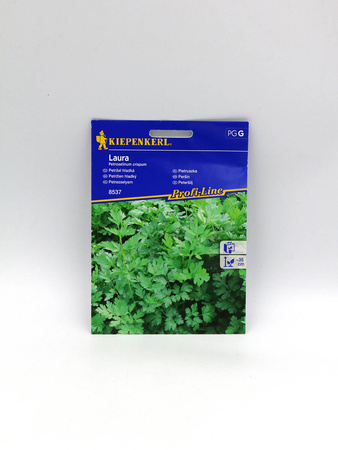 Pietruszka Naciowa 'Laura' – Kiepenkerl
