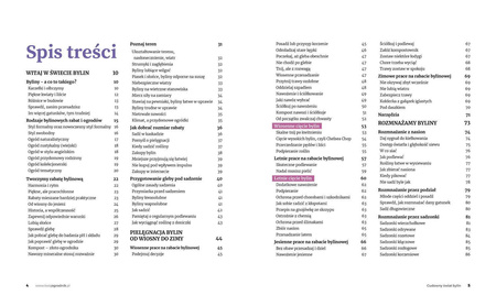 Książka Cudowny Świat Bylin – Lucyna i Alicja Grabowska