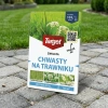 Dicotex 202 SL - Na Chwasty Na Trawniku – 100 ml Target