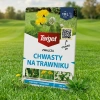 Starane Trawniki – Zwalcza Chwasty Na Trawniku – 100 ml Target