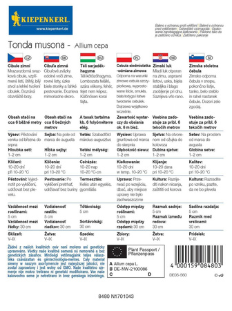 Cebula Siedmiolatka 'Tonda Musona' – Zimowa – Kiepenkerl