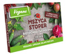 Mszyca Stoper - 100 larw biedronki dwukropki – na 5 roślin lub 5 m²