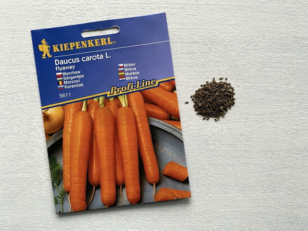 Marchew 'Flyaway' F1 – Odporna – Kiepenkerl