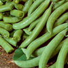 Groch Cukrowy 'Delikett' – Kiepenkerl