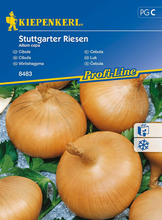 Cebula 'Stuttgarter Riesen' – Nasiona Kiepenkerl