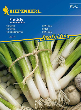 Cebula 'Freddy' – Siedmiolatka – Kiepenkerl