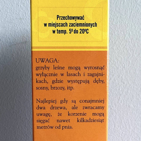 Mikoryza Jadalne Grzyby Leśne – Vaxi-Root Zielony Dom