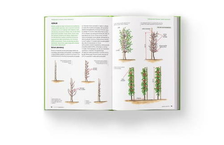 Szkoła Cięcia 1 + 2 – Zestaw Książek