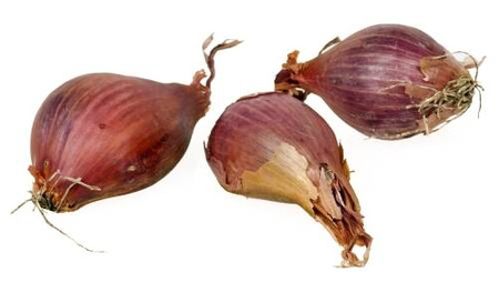 Cebula Szalotka 'Red Sun' – Dymka 250 g