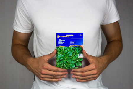 Roszponka 'Vit' – Duże Opakowanie – Kiepenkerl