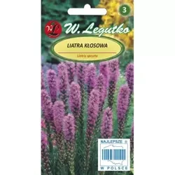 Liatra Kłosowa – Legutko