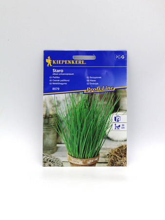 Szczypiorek 'Staro' – Zimujący – Kiepenkerl