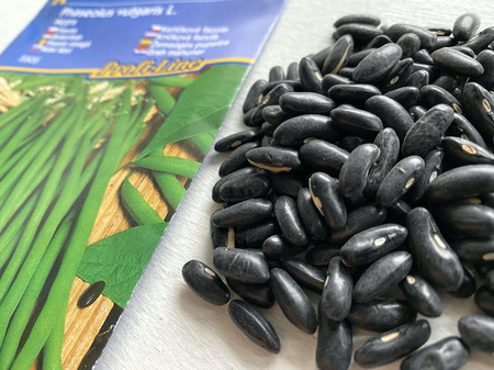 Fasola 'Negra' – Odporna Na Choroby – Kiepenkerl