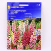 Naparstnica 'Excelsior' – Dwuletnia – Kiepenkerl