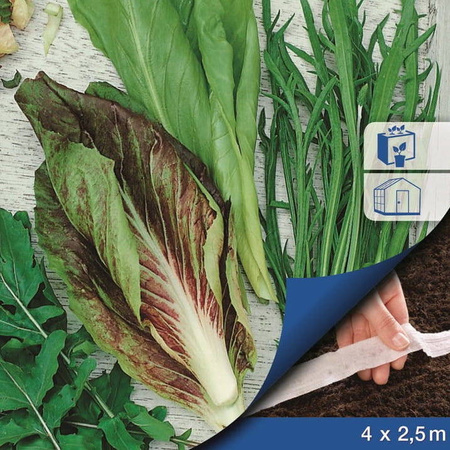 Mix Sałat – Na Taśmie – Kiepenkerl