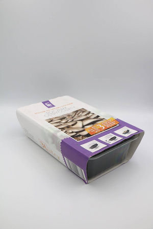 Boczniak Ostrygowaty – Zestaw Do Uprawy Grzybów – 3 l Exotic Grow Planto