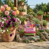 Nawóz do roślin kwitnących w granulkach z mączką bazaltową – do róż, piwonii, hortensji, magnolii i innych – 8 kg Vegano
