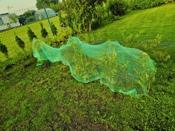Siatka ochronna 2 x 5 m Green Star