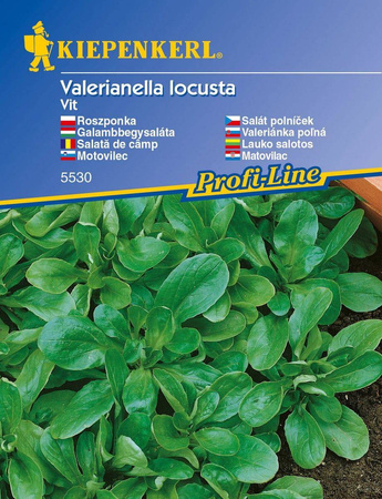 Roszponka Vit – Kiepenkerl