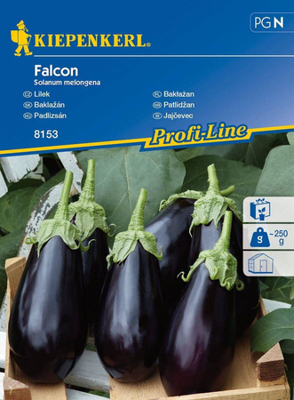 Bakłażan Oberżyna 'Falcon' F1 – Nasiona Kiepenkerl