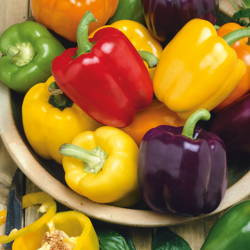 Papryka blokowa 'Blocky Mix' F1 - Kiepenkerl