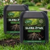 Gleba Żywa (efekt pracy dżdżownic) wermikompost w płynie do warzyw, owoców, trawnika i roślin ozdobnych – 10 l Vegano