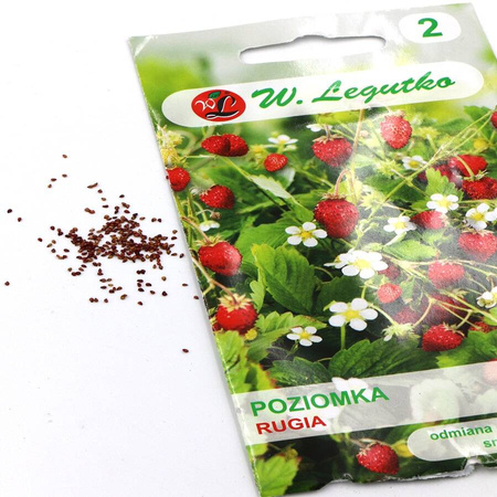 Poziomka Czerwona Rugia – 0,2 g Legutko