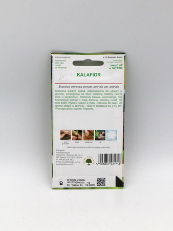 Kalafior ‘Di Sicilia Violetto’ – 1 g Legutko