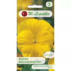 Bratek Wielkokwiatowy – Żółty – Legutko