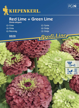 Cynia 'Red Lime' + 'Green Lime' – Kiepenkerl