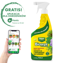 Biosept Active Spray – Wyciąg z Grejpfruta – 750 ml Target