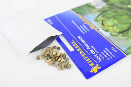 Karczoch 'Vert de Provence' – Wieloletni – Kiepenkerl