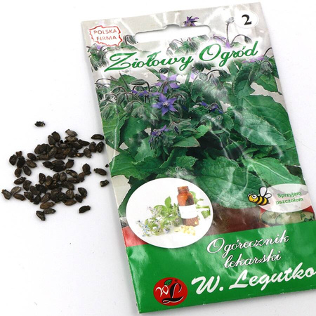 Ogórecznik Lekarski – 2 g Legutko