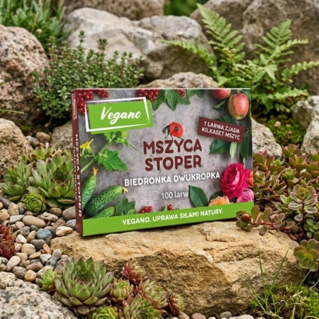 Mszyca Stoper – 200 larw biedronki dwukropki – na 10 roślin lub 10 m²