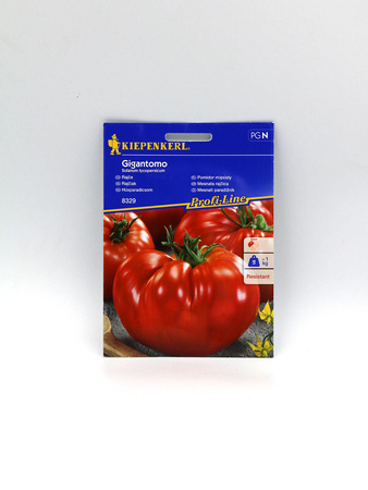Pomidor Mięsisty ‘Gigantomo’ F1 – Mięsisty – Kiepenkerl