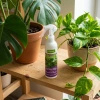 Regenerator do roślin zielonych – odżywka, nawóz w sprayu (mgiełka) – 300 ml Vegano