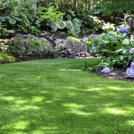 Wysokoazotowy Nawóz Do Trawnika – Wspierany Naturą – 8 kg Vegano